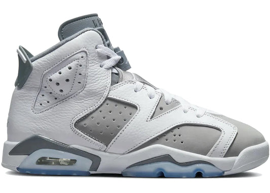 Jordan 6 Retro Cool Grey (2023) - WORLDOFSHOES